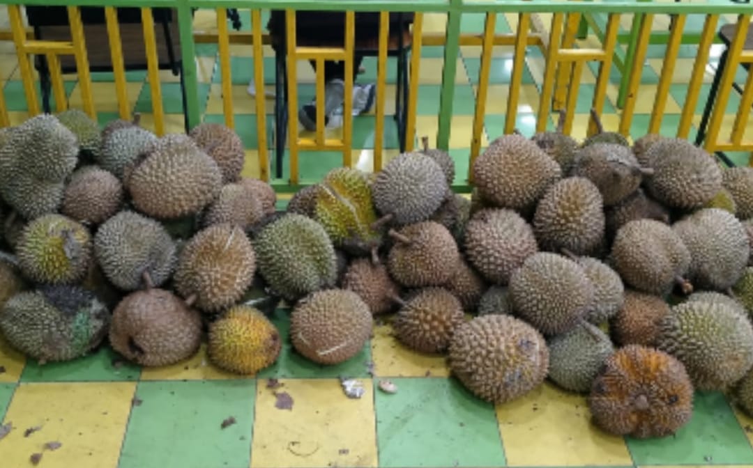 Ucok durian