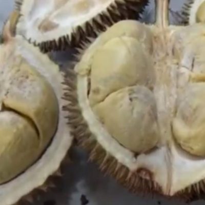 Durian Parapat